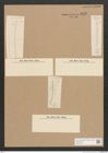 Diatomeae indet. Zeichnungen Sammlung Grunow Nr. 4498 (NHMW-BOT-W0372463)